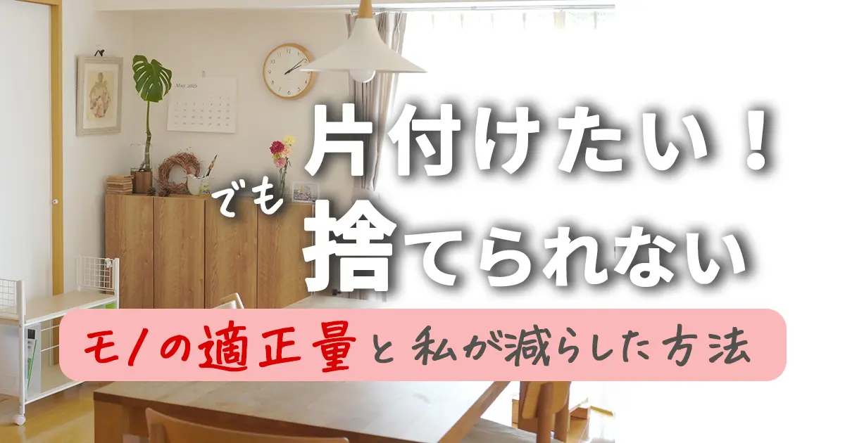 片付けたい！でも捨てられない！私がモノを適正量まで減らした方法