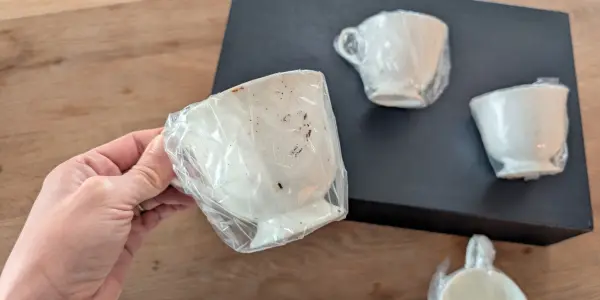 虫が付着｜実家の物置に合った食器